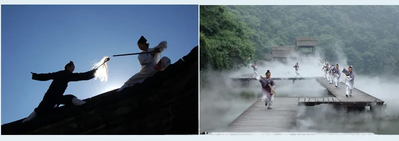 Taiji пылеуловитель китайский ушу Taoist кунгфу товары 1