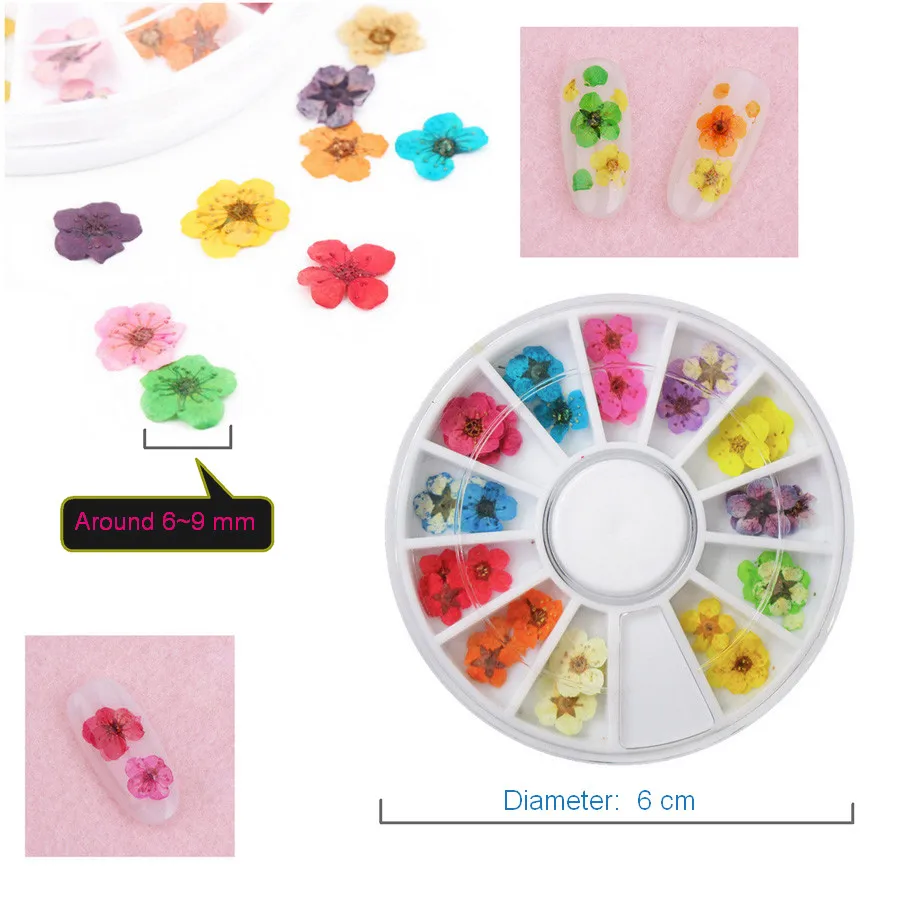 AddFavor натуральный высушенный цветок для ногтей художественное украшение