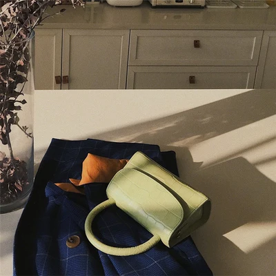 Bolsa Feminina модная сумка из аллигатора с ручкой сверху Дизайнерская Женская мини-сумка через плечо сумки через плечо для женщин Sac