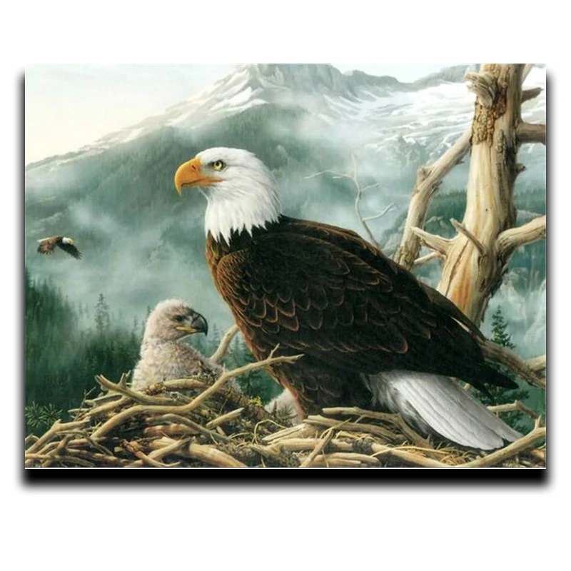 

Diamond Painting Cross Stitch Craft Hobby Round / Square Diamond Mosaic Embroidery Full With Diamond Great Eagle and Kitty