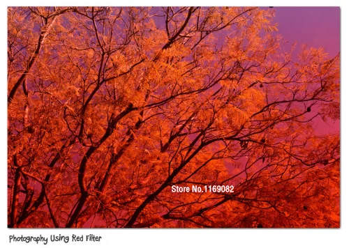 

3 in 1 filter holder full red +Blue Neutral Square Filter for Cokin P series Camera +Tracking number