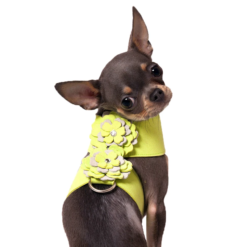 Удобный поводок для собак ошейник из волокна с цветами красного зеленого