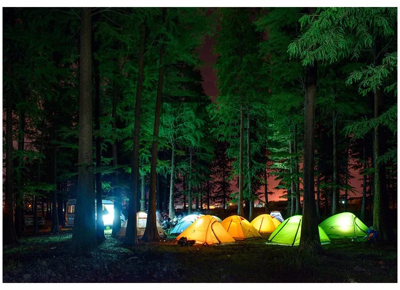 Naturehike 2-4 человек Открытый Кемпинг палатка двойной слой в алюминиевом стержне водонепроницаемый ветрозащитный