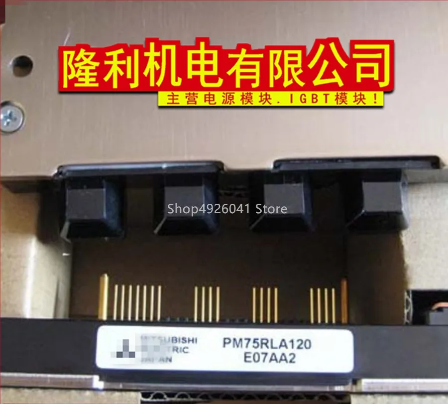 PM25RLA120 PM50RLA120 PM75RLA120 PM25RL1A120 PM75RL1A120|Двигатель переменного тока AC| |