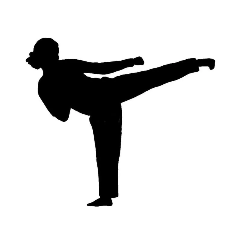 Забавная наклейка забавная для Karate Girl автомобиля на окно драка женщина