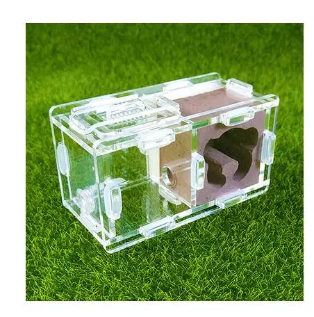 brown bear stand Мини штукатурка Муравьиное гнездо 2 комнаты муравья королева дом форма медведя из мультфильма клетка для насекомых антивов размер 90x50x50 мм дети подарок на день рождения игрушки - Цвет: brown bear stand