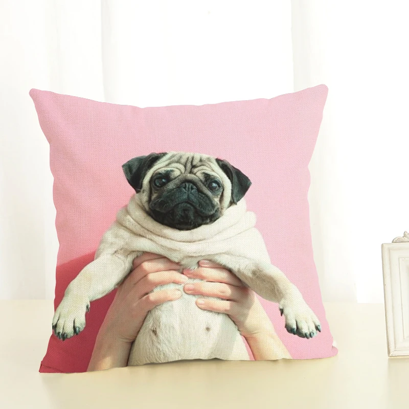 Фото Новая популярная милая серия Bago для украшения дома диванные подушки комплекты