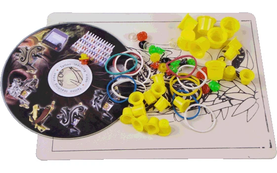 Фотоаппарат для перманентного макияжа|tattoo machine set|complete tattoo kittattoo kit professional |