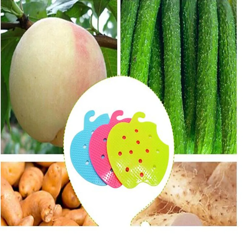 ДЕНЬ ВЕСЕЛО 2016 Fashon Фрукты Растительное Кисти Кухня Инструменты Легко Щетка Для