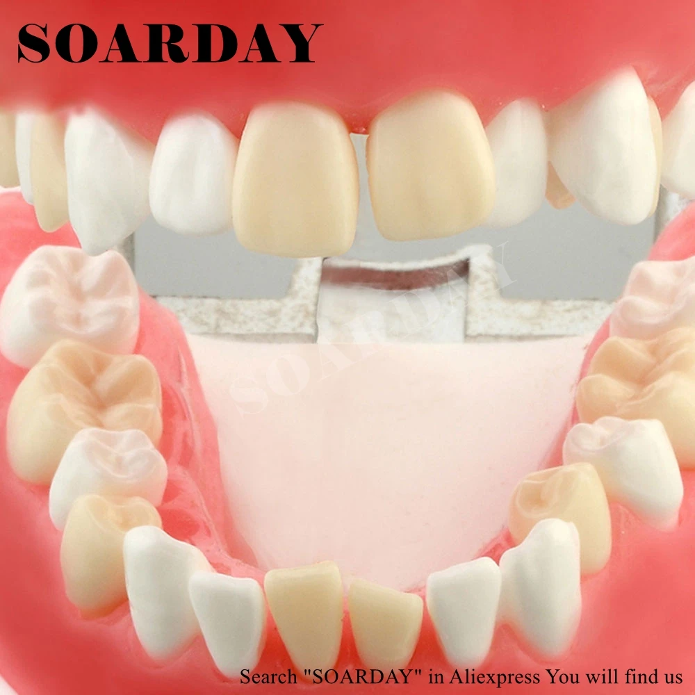 

SOARDAY Dental Tooth Extraction Training Model Stomatology Teeth Model