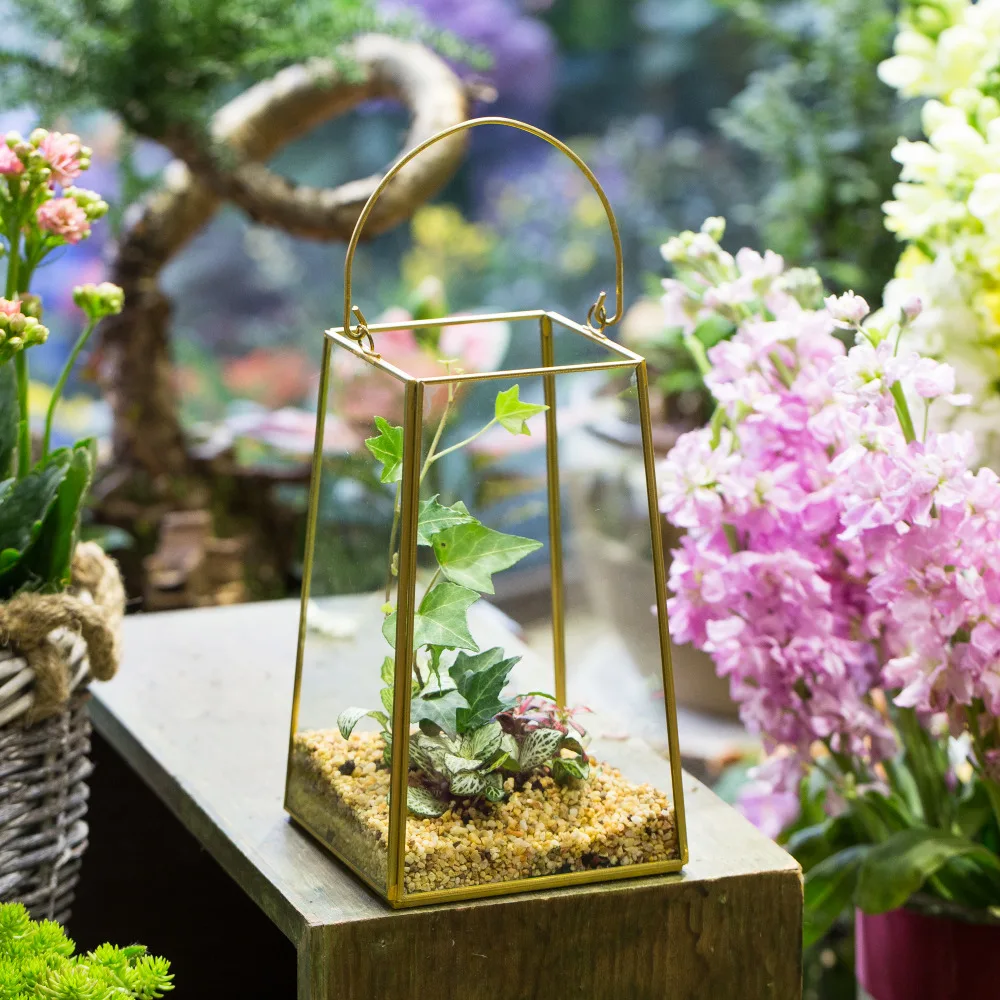 

Handmade Brass Copper Gold Echelon Geometric Glass Terrarium Holder Lantern Succulent Plants Hanging Wall Flowerpot with Handle