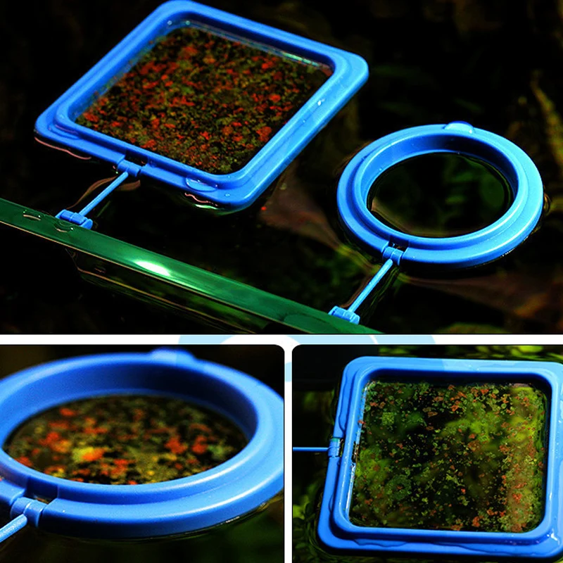Useful Aquarium Feeding Ring Tools Accessory Fish Tank Station Floating Food Tary Feeder Rings Square/Circle | Дом и сад