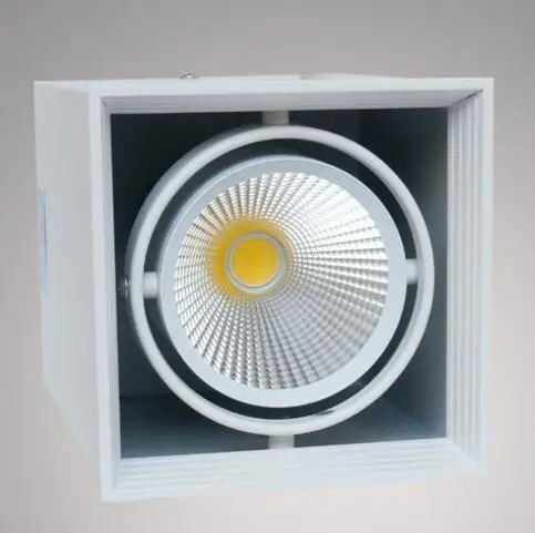 Бесплатная доставка Dimmable 2*10 Вт/10 Вт COB светодиодный потолочный светильник Bean Pot