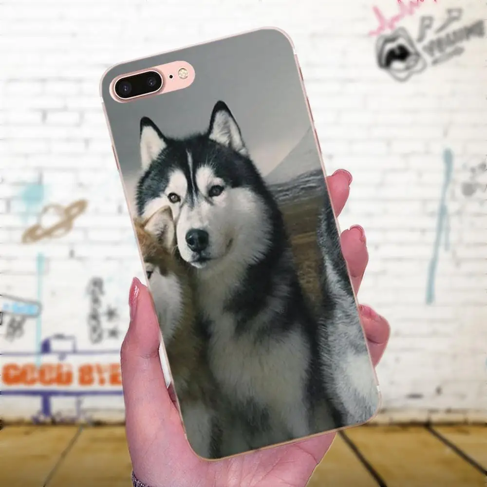 TPU мобильный телефон для Galaxy J1 J2 J3 J330 J4 J5 J6 J7 J730 J8 2015 2016 2017 2018 mini Pro Wacky Husky | Мобильные