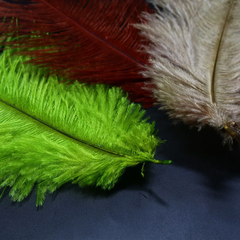 4 шт./упаковка декоративные страусиные перья среднего размера|tying materials|fly tying