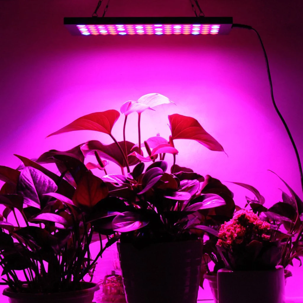 

15W LED Hydroponic Red Blue Indoor Plant Grow Light Garden Panel EU Plug