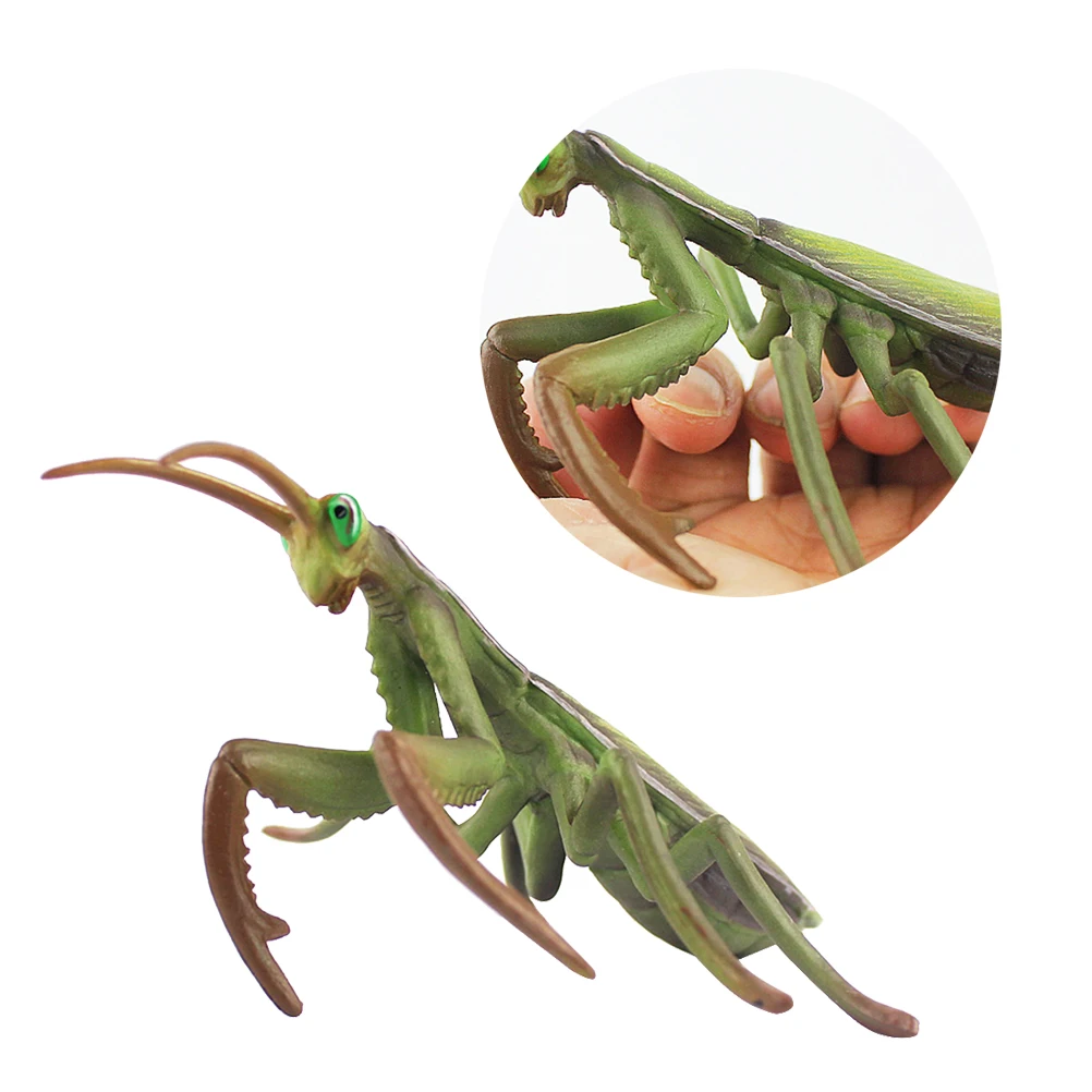 1 шт. фигурка Mantis модель насекомого, реалистичное ремесло, подарок, украшения, коллекция игрушек, украшение для дома, офиса, рабочего стола
