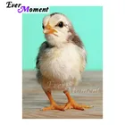 Алмазная живопись Стразы с курицей, картина с квадратными стразами ручной работы, украшение для вышивки стразами 3F1635