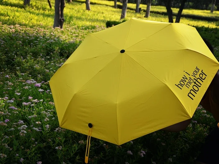 How I Met Your Mother желтый зонт для женщин складной Зонты Лолита купол Parapluie зонтик 8K Женский Принцесса дождевик