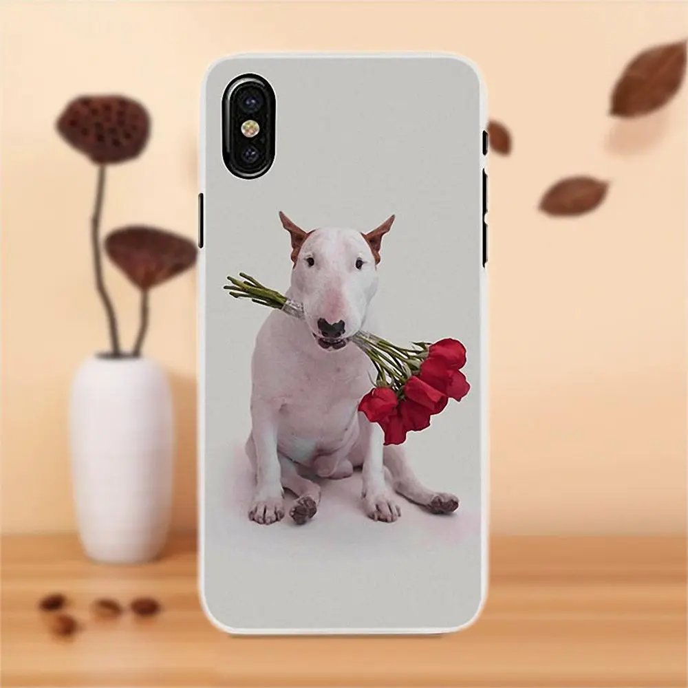 Bixedx Soft Stylish Case Bull Terrier Bullterrier Dog For Apple iPhone 4 4S 5 5C SE 6 6S 7 8 Plus X LG G4 G5 G6 K4 K7 K8 K10 | Мобильные