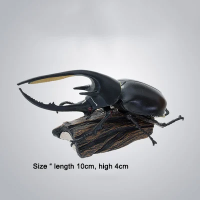Dynastes neptunus 11 шт., насекомые, японский носорог, жук, олень, жук, карманный червь, модель животного, фигурка, Детские коллекционные игрушки - Цвет: Dynastes neptunus