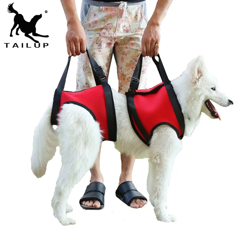 

[TAILUP] Dog lifts support vest pet help products chien collar leash dog harness with a handle lifting harness for dogs py0015