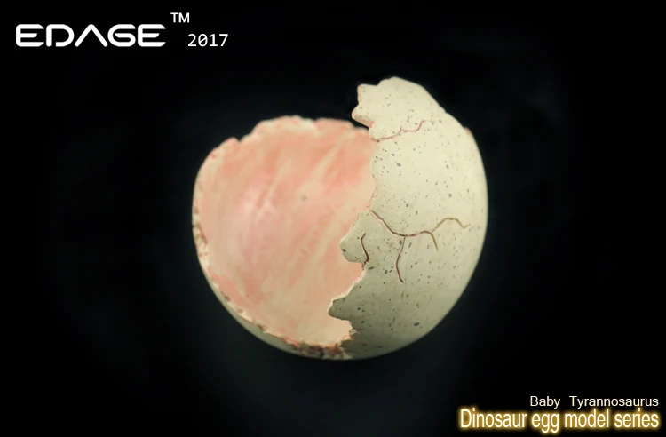 EDAGE детский тираннозавр с яйцом 2017 черный цвет ПВХ динозавр музейная модель