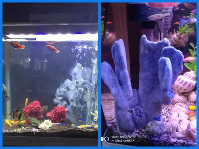 Aqumotic натуральный синий коралл Декор 1 шт. украшение для аквариума Naturalizer коралловый риф Солнечный свет аквариум для рыб Аксессуары Инструмент