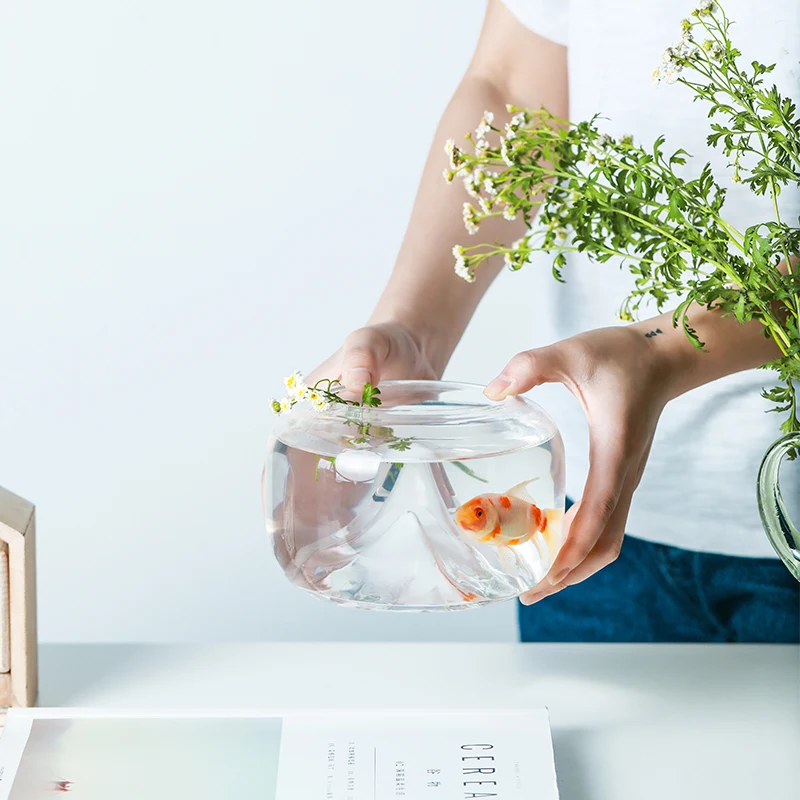 Стеклянная баночка для хранения скандинавского снега горного аквариума