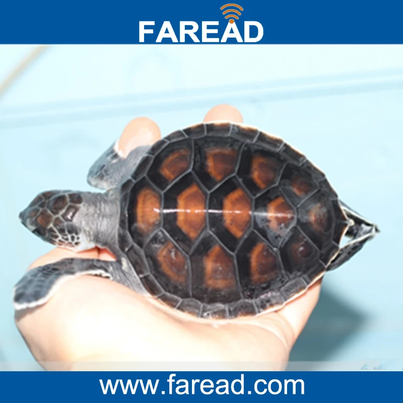 Free shipping x1pc FDX-B chip Scanner for dog cat mouse turtle,arowana,snake+ x60pcs mini 1.25*7mm RFID microchip for animal