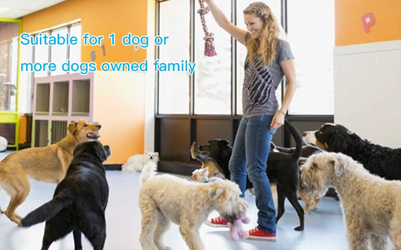 New Arrival Brand Auto-Protection and Safe Pet Products Static Bark Control Dog Collar | Дом и сад