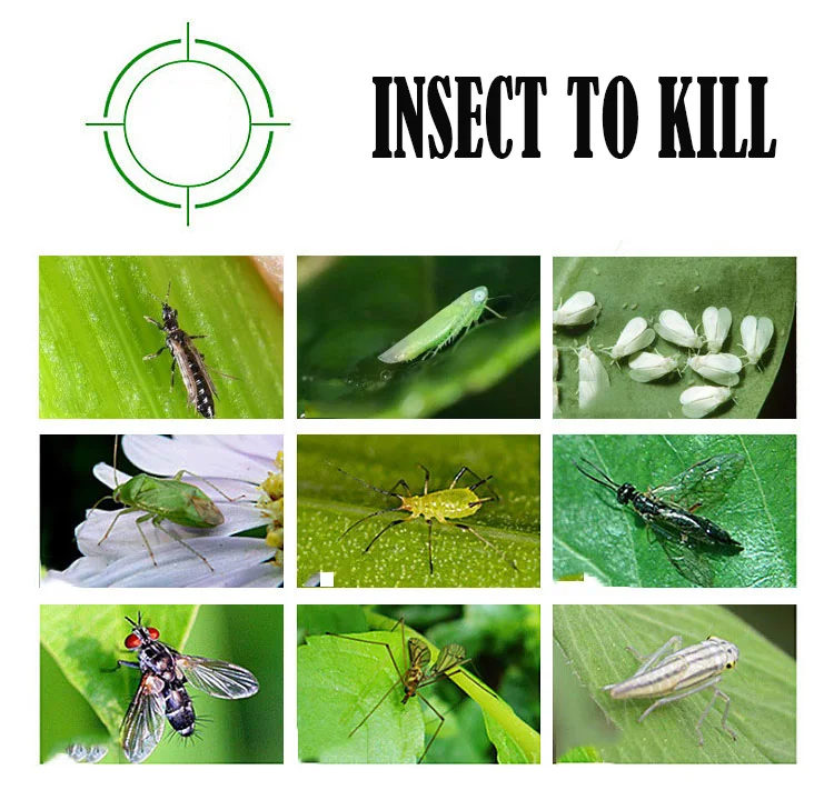Двухсторонние липкие летающие насекомые s Thrips Gnats Aphid Fruitfly ловушка желтый синий летающие насекомые вредители клейкая ловушка Ловца летающие жуки