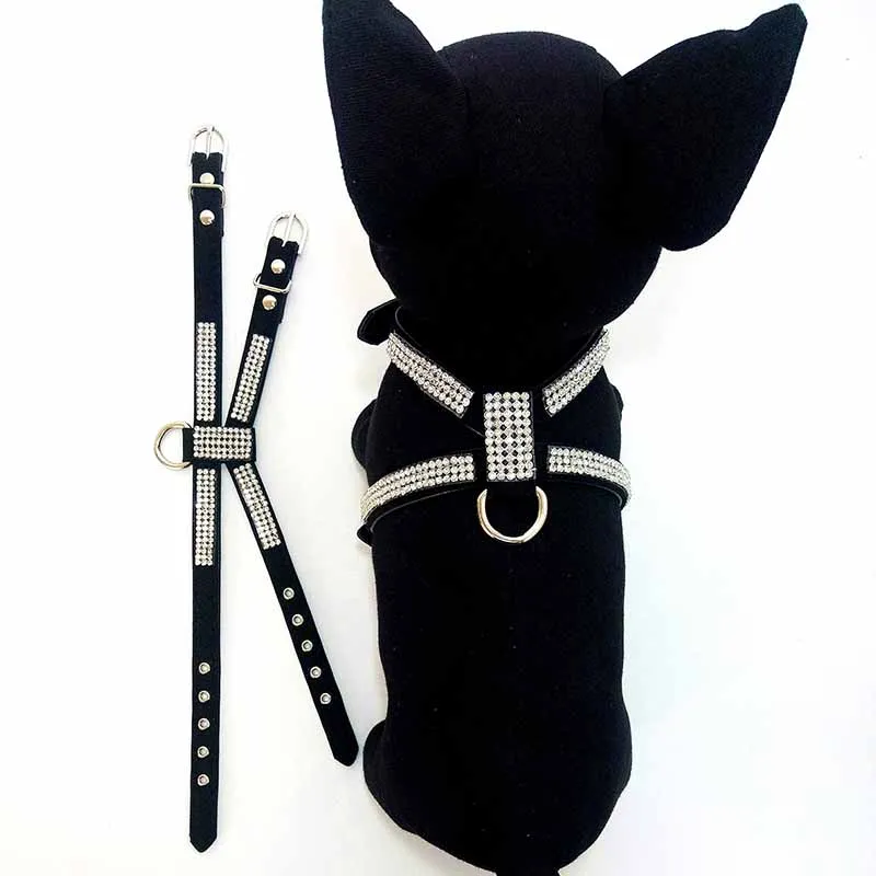 Ошейник для маленьких собак и кошек из кожи | Дом сад