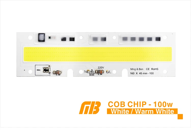 Светодиодный чип COB 20 Вт, 30 Вт, 50 Вт, 70 Вт, 100 Вт, 150 Вт, переменный ток, 220 В, 110 В, IP65 Smart IC, подходит для DIY, светодиодный прожектор, холодный белый, теплый белый