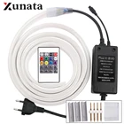 RGB светодиодный ная неоновая лента 220 В контроллер диммера 2835 5050 гибкая лента Водонепроницаемая декоративная веревка 5 м 20 м 100 м комплект зажимов для вилки питания