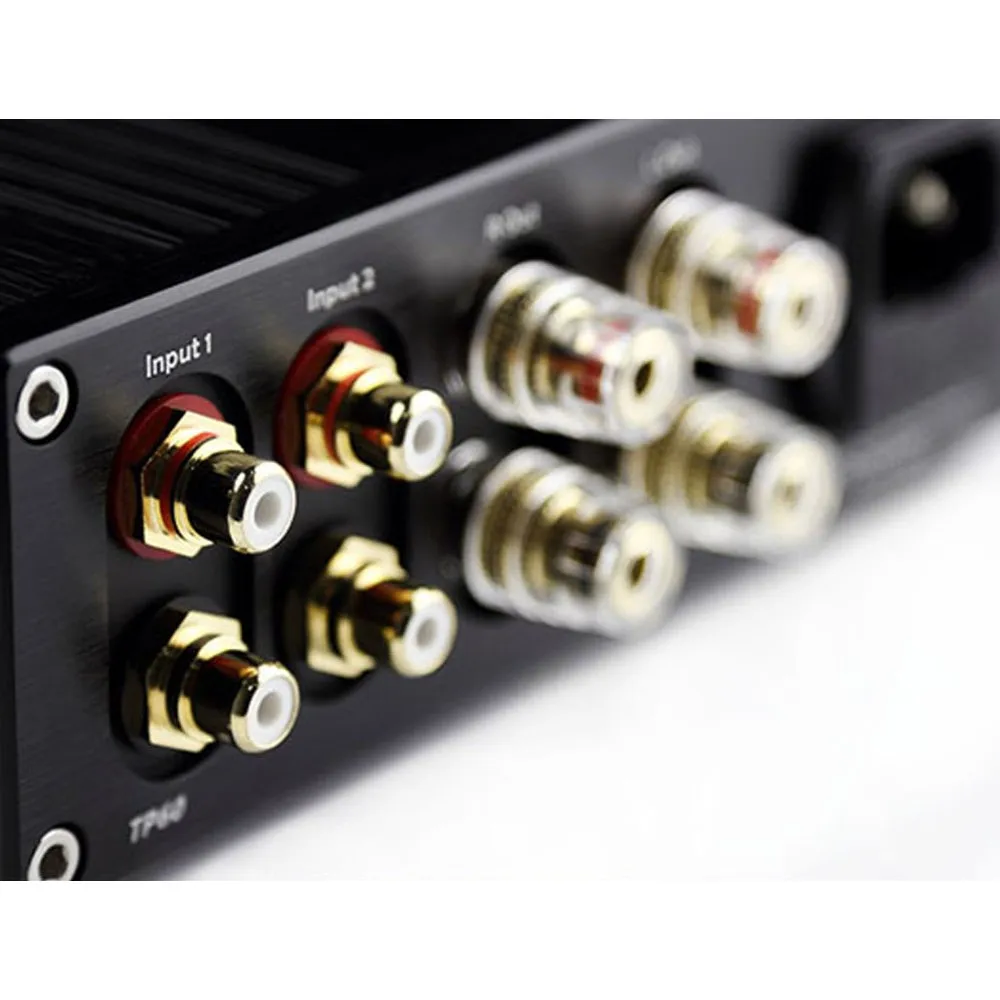 TOPPING TP60 с бесплатной доставкой или в комплекте процессором TA2022 T-Amp 2x80W и