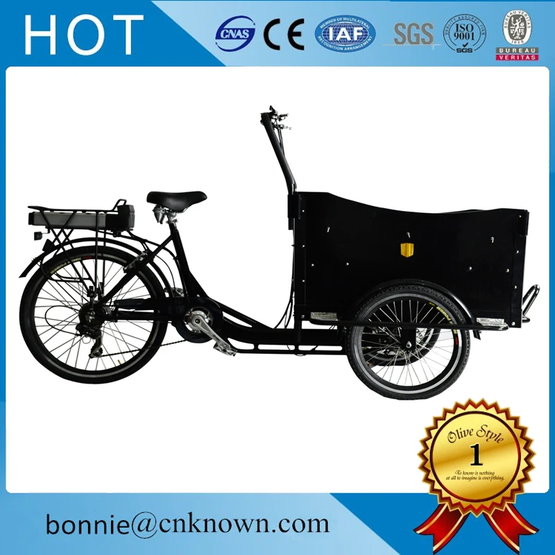 

Environmentally friendly transport Aluminum alloy motor cargo bike street food cart bicycle for free shipping