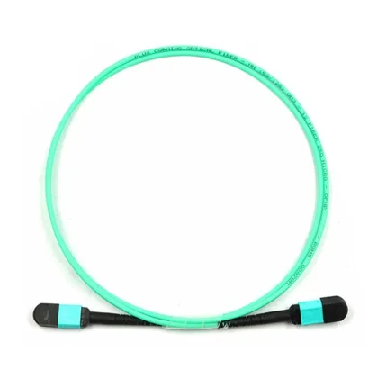 

12 MPO/UPC (Female)-Multimode (50/125)-OM2, OM3, OM4-Polarity B-2 m 4m
