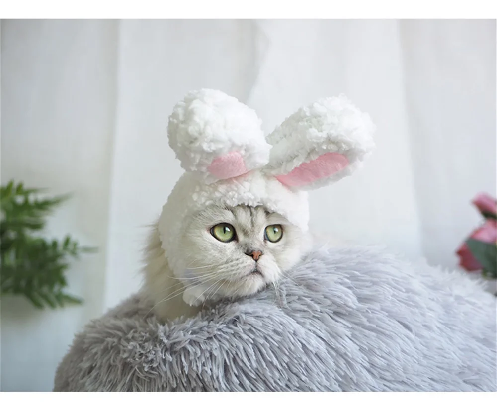 Забавный милый костюм для питомца, косплей, шапка кролика для кошки, Хэллоуин, Рождество, Год, одежда, нарядное платье, аксессуары для маленьких собак