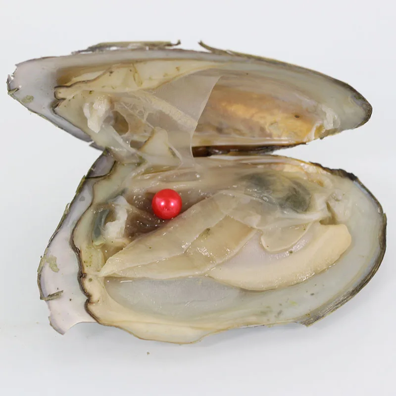 2018 New Akoya 6-7mm Round Pearl Variety Colors Love Wish Oysters Individually Vacuum Pack Fashion Gift AR007 | Украшения и