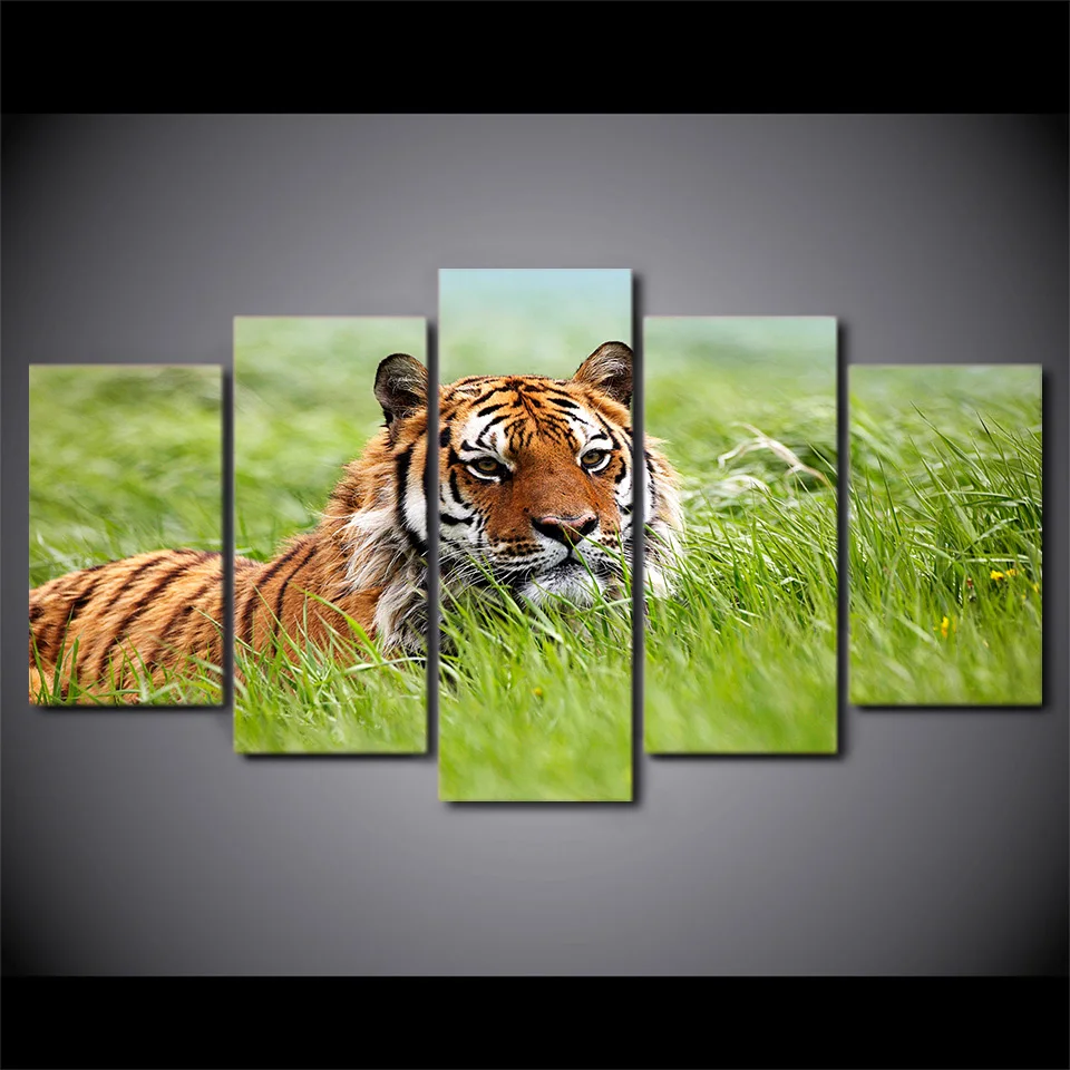HD принт Сибирский тигр Картина на холсте украшение комнаты печать плакат картина