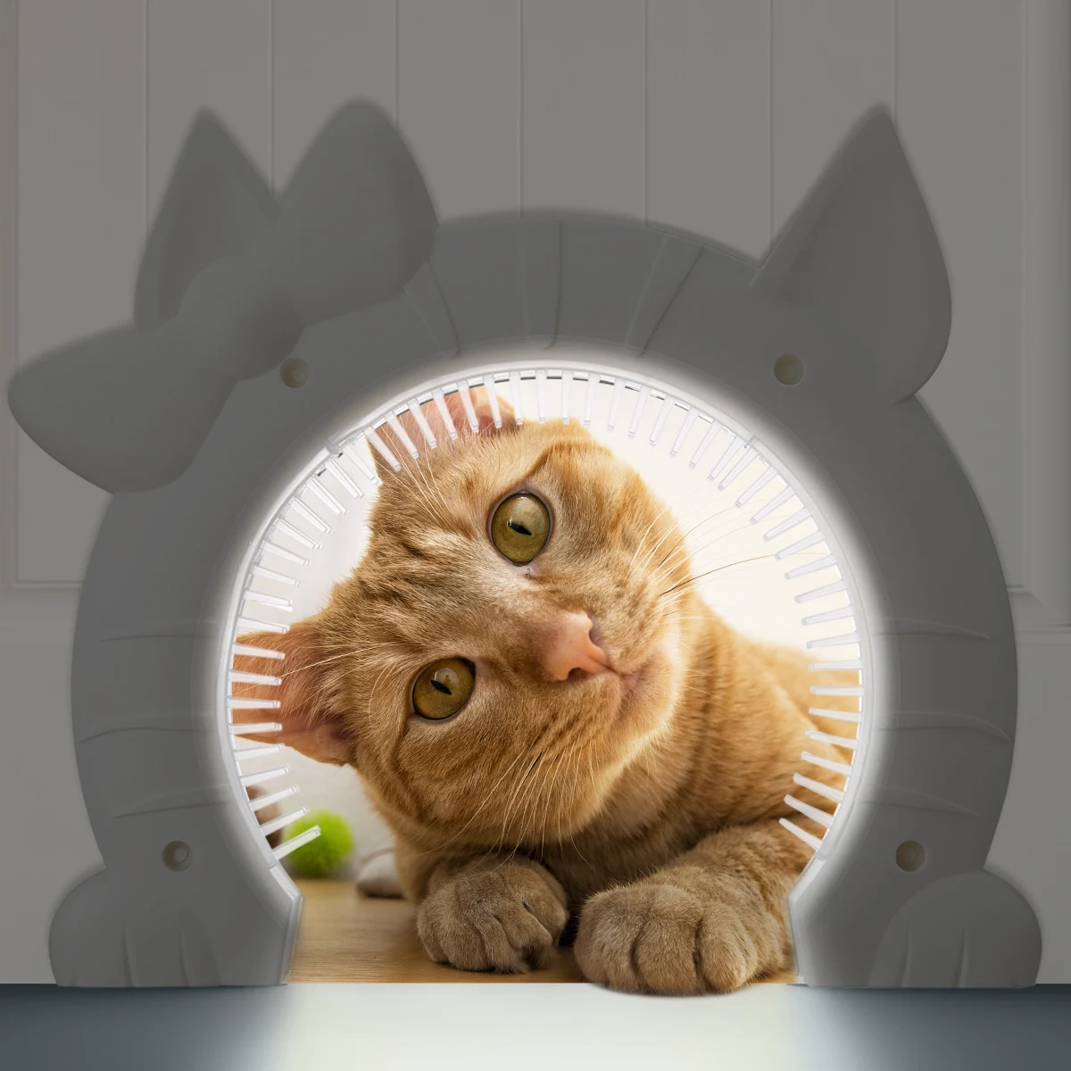 Прочная пластиковая Кошка маленькая ПЭТ запирающаяся дверь с щеткой для волос