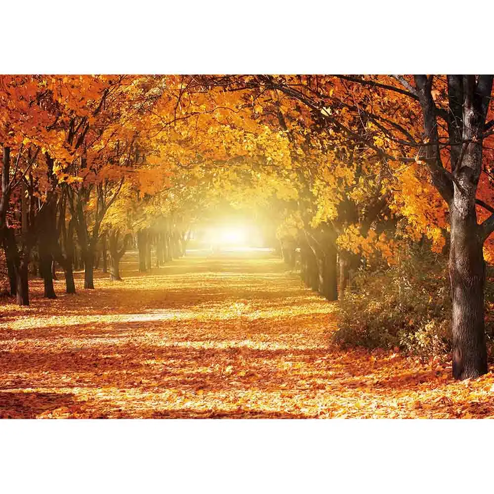 Allenjoy фоны для фотостудии красивый романтический Солнечный свет Осенняя