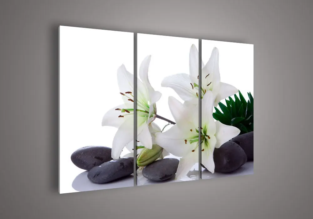 3 шт. настенное искусство без рамки Современный абстрактный акриловый цветок