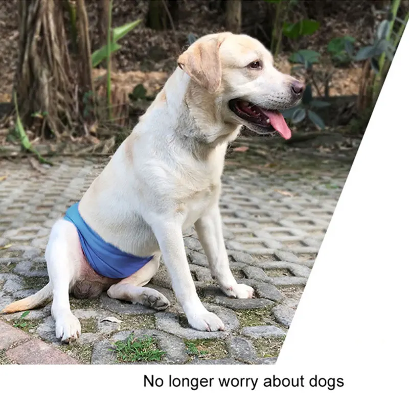 Polyester Pet Physiological Trousers Washable Urine Prevent Defecation Anywhere Smooth Nonsticky Hair Sanitary Pants | Дом и сад