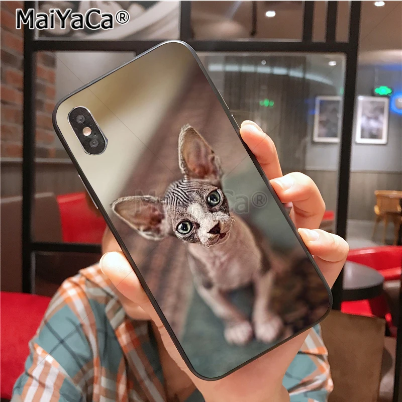 Уникальный силиконовый чехол для телефона MaiYaCa sphynx cat для iphone 11 Pro 6S 6plus 7 7plus 8 8Plus X 5 5S чехол - Цвет: 6