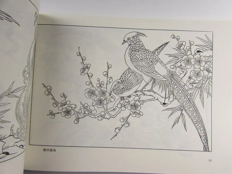 Справочная книга Suzhou с вышитыми узорами резьба по татуировкам 305 страниц | Дом и