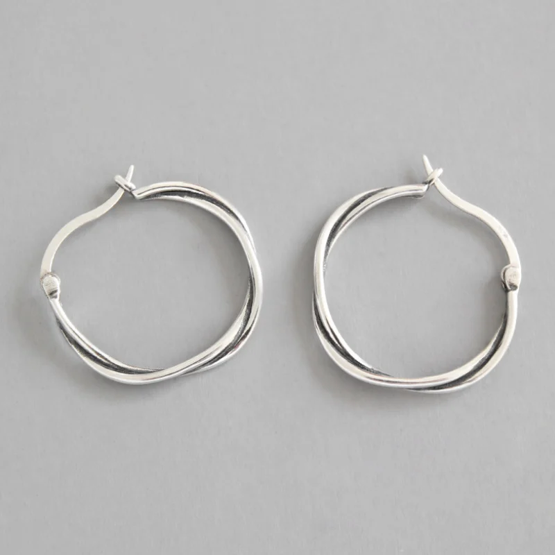Silver F.I.N.S S925 Серебряные серьги Геометрическая витая веревка круглые серебряные маленькие серьги-кольца для женщин Винтажная бижутерия - Окраска металла: Silver