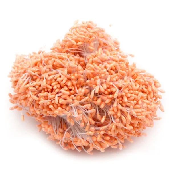 Orange 288 шт./лот, 3 мм, Двойные наконечники, разноцветные, с цветочным блеском, Stamen Pistil, свадебные украшения, сделай сам, C1102 - Цвет: Orange