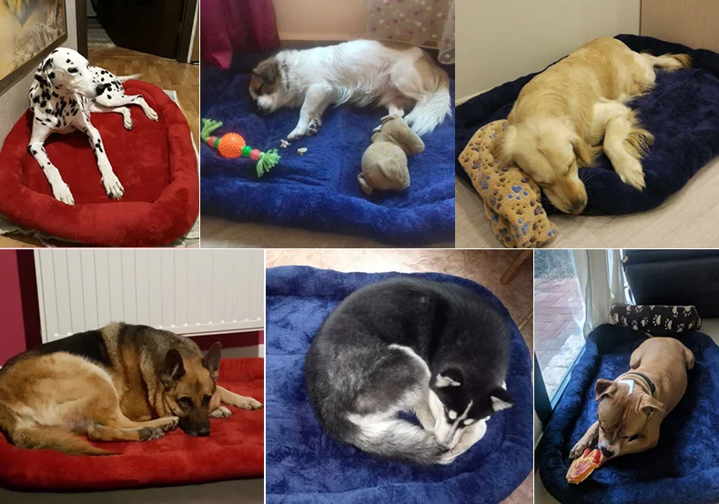 HOOPET Large Dog Bed Big Size Pet Cushion Warm Sleeping Bed Golden Retriever Cage Mat Pet House Mat L Retail And Wholesale